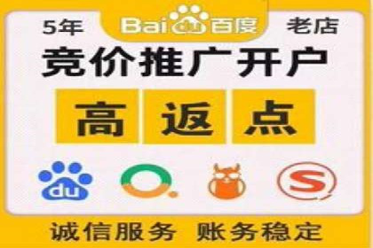 百度推广公司案例研究：揭秘企业快速崛起的秘密